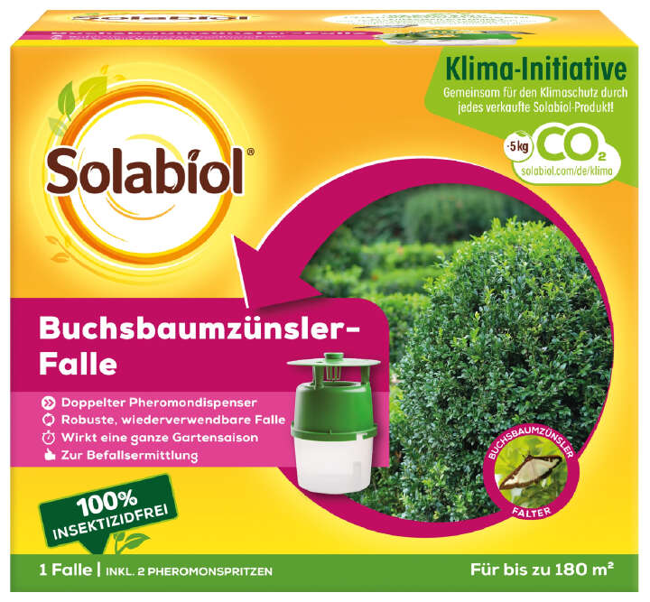 Solabiol Buchsbaumzünsler-Falle
